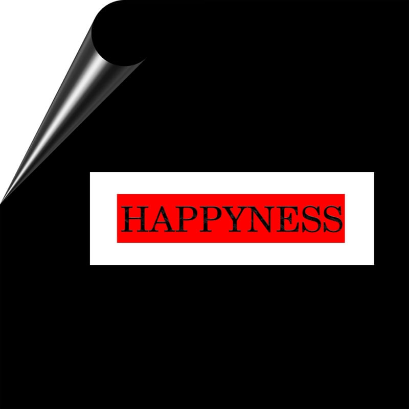 HAPPYNESS (PAGE)