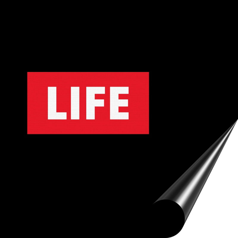 LIFE (PAGE)