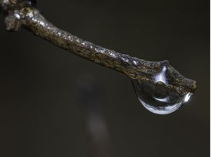 SIGN OF RAIN