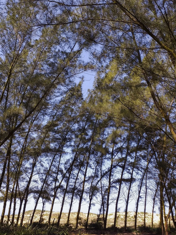 #NATUREZA71