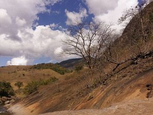 #NATUREZA58