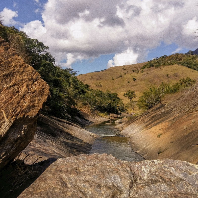#NATUREZA59