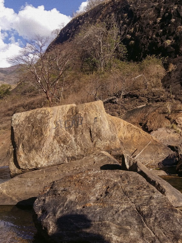 #NATUREZA61