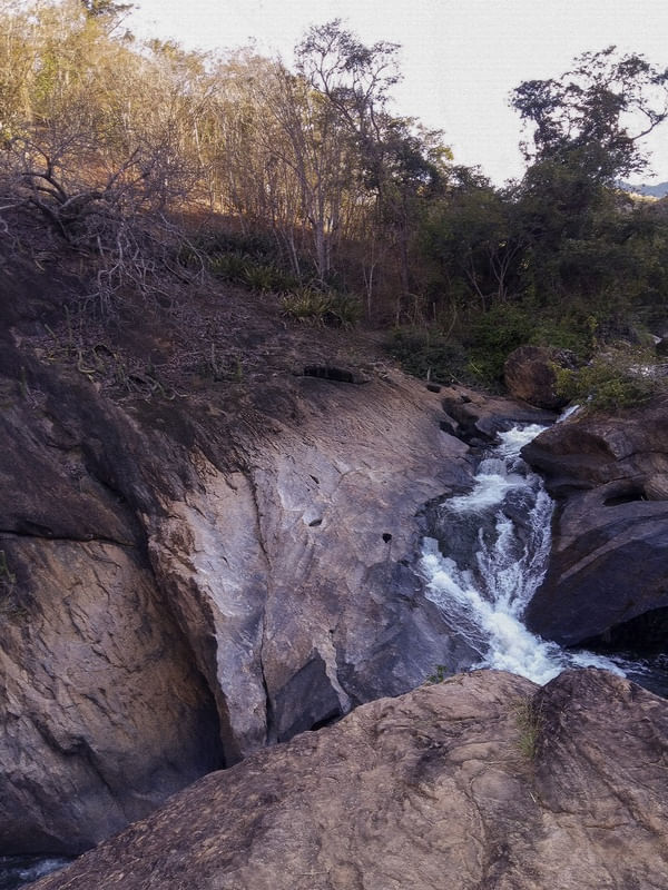 #NATUREZA64
