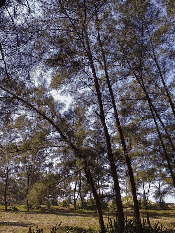 #NATUREZA70