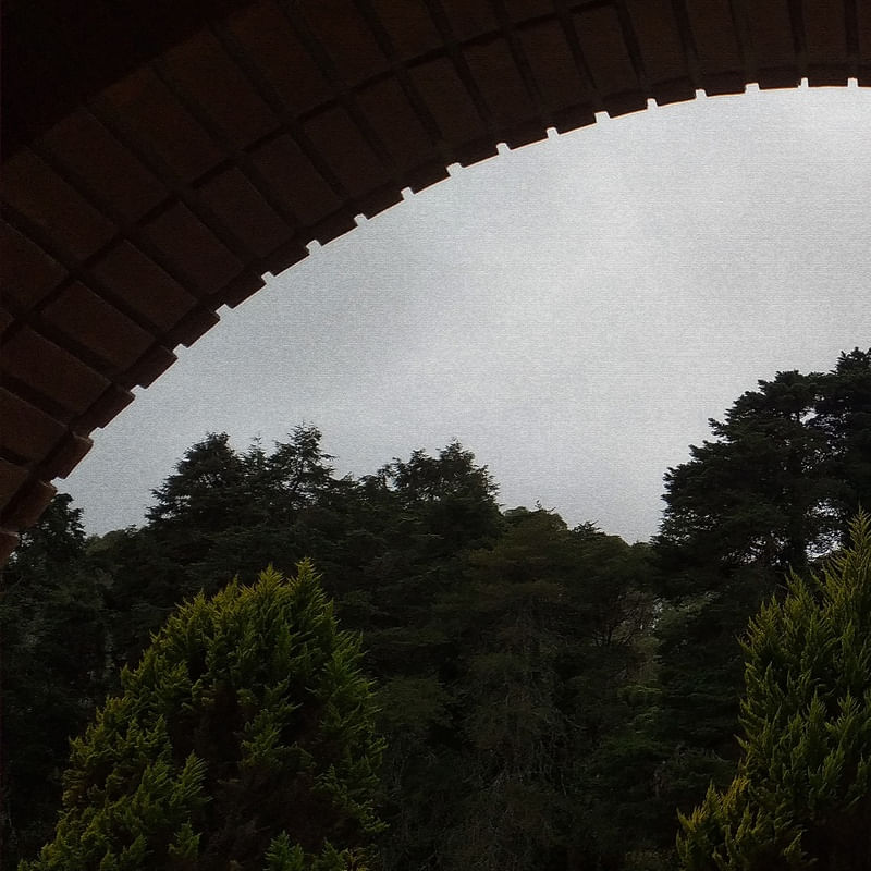 ARCO NATUREZA DÍPTICO 1