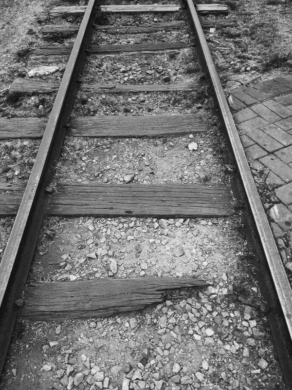 NA TRILHA DO TREM