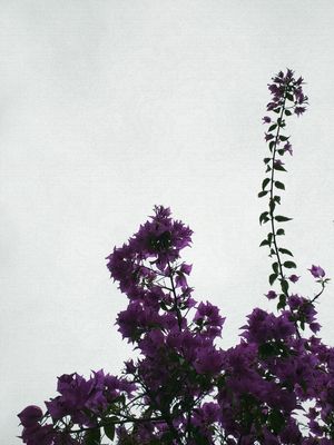 #NATUREZA78