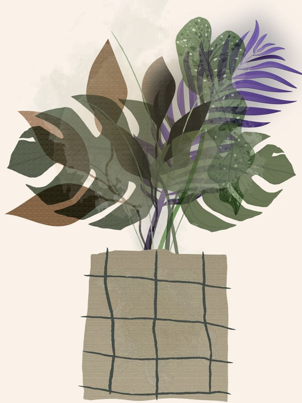 FLORAIS 25