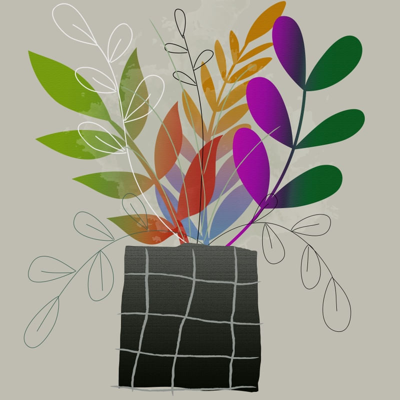 FLORAIS 27