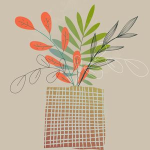 FLORAIS 28