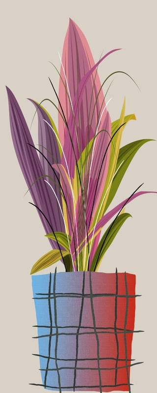 FLORAIS 29