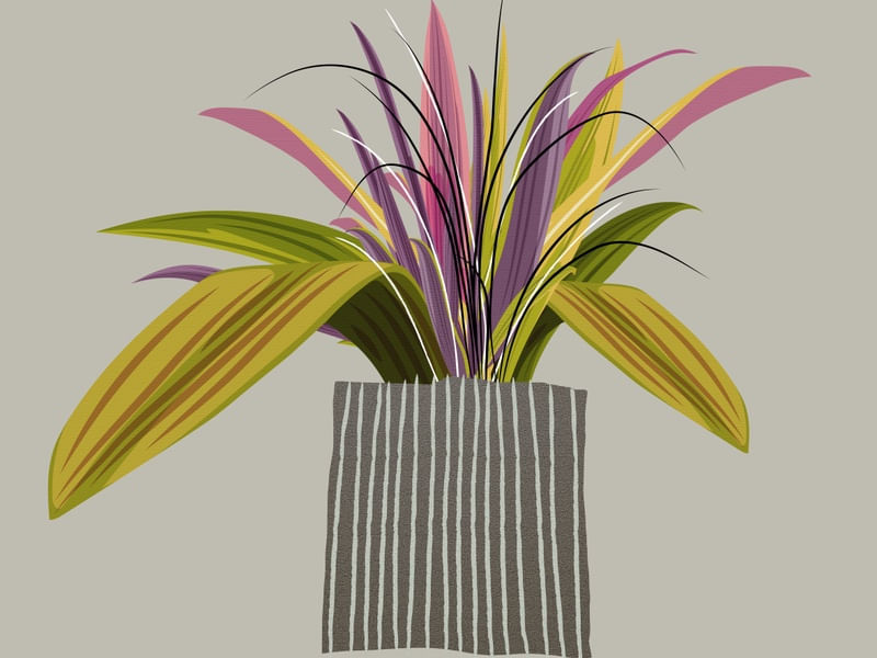 FLORAIS 30