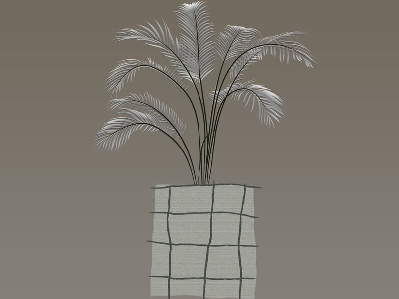 FLORAIS 31