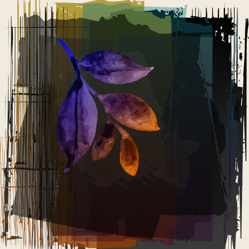 TROPICAL HOUSE 12