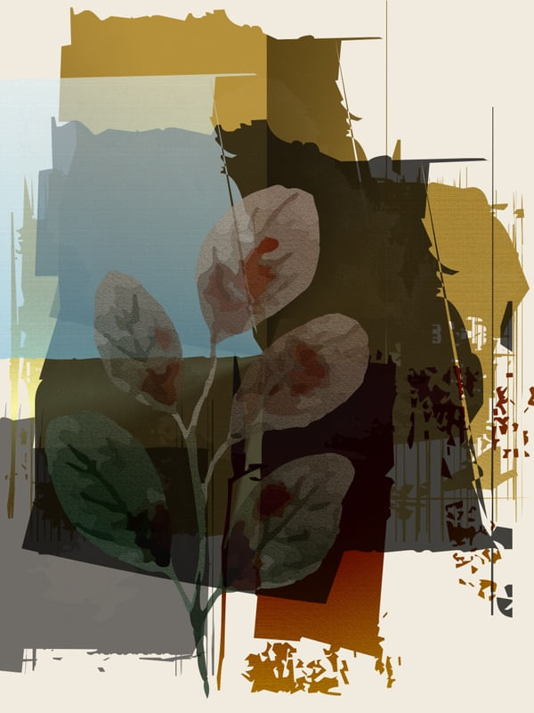 TROPICAL HOUSE 02