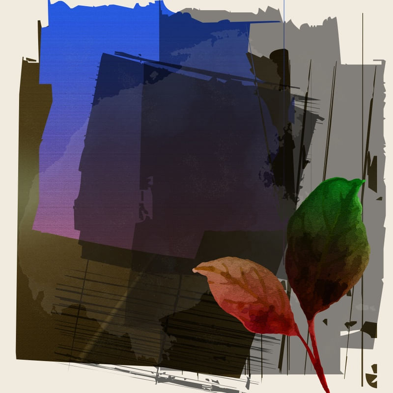 TROPICAL HOUSE 04