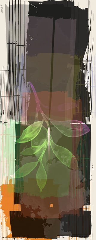 TROPICAL HOUSE 13