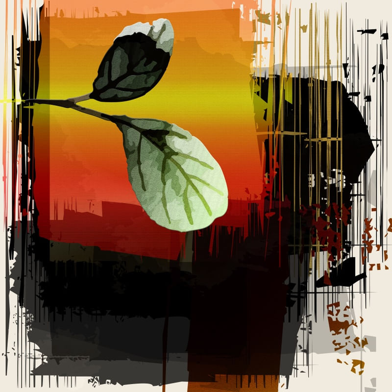 TROPICAL HOUSE 16