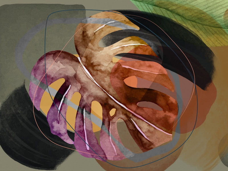MONSTERA 03