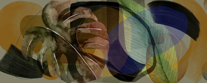 MONSTERA 04