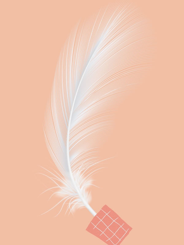 LIGHT FEATHER 02