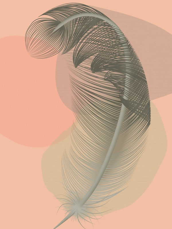 FEATHER MINIMALIST 01