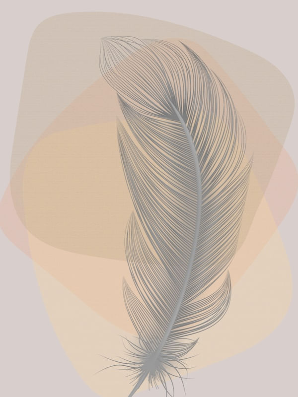 FEATHER MINIMALIST 02