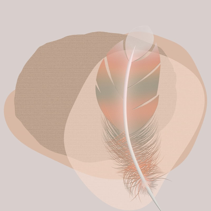 FEATHER MINIMALIST 03