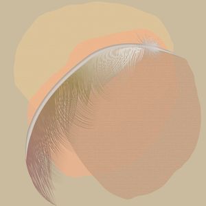 FEATHER MINIMALIST 04