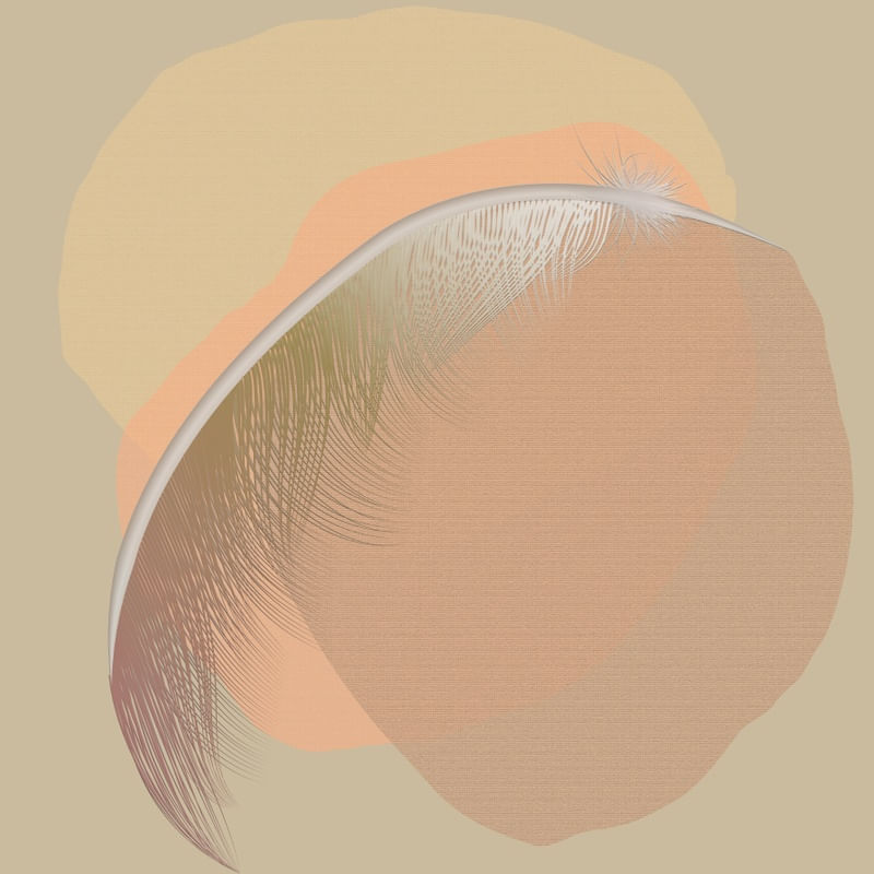 FEATHER MINIMALIST 04