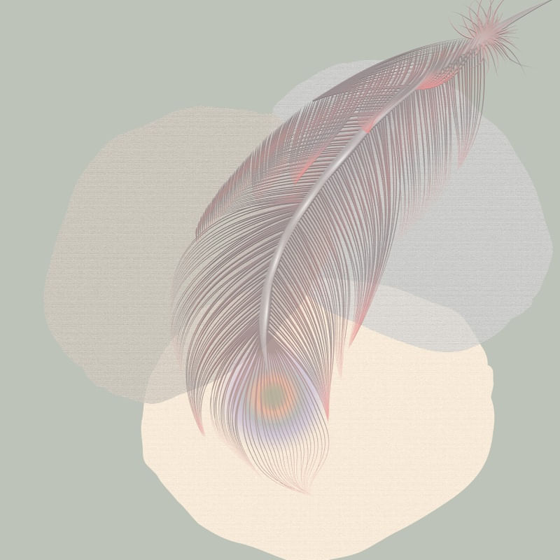 FEATHER MINIMALIST 05