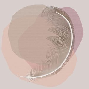 FEATHER MINIMALIST 06