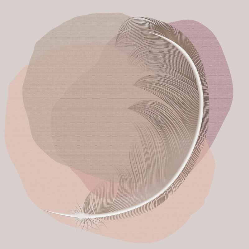 FEATHER MINIMALIST 06