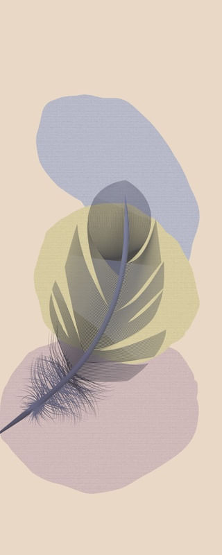 FEATHER MINIMALIST 07