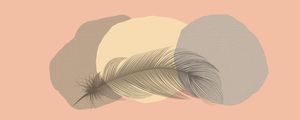 FEATHER MINIMALIST 08