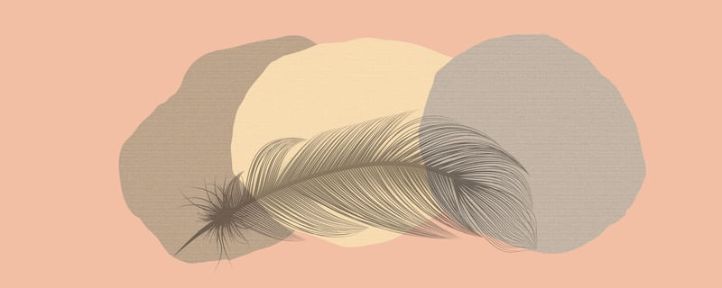 FEATHER MINIMALIST 08
