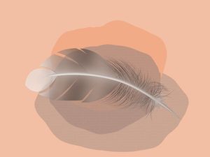 FEATHER MINIMALIST 09