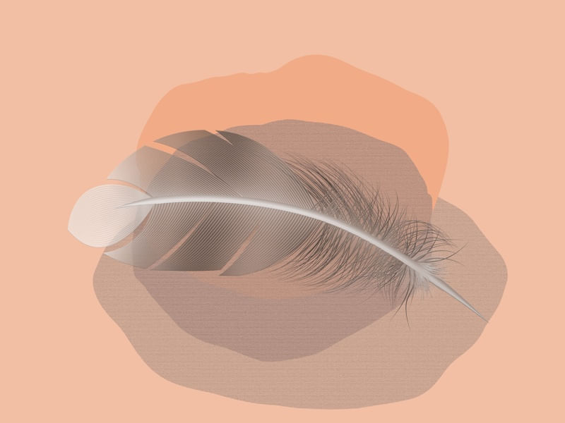 FEATHER MINIMALIST 09