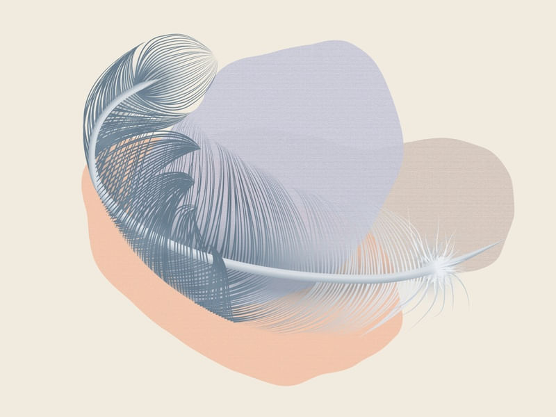 FEATHER MINIMALIST 10