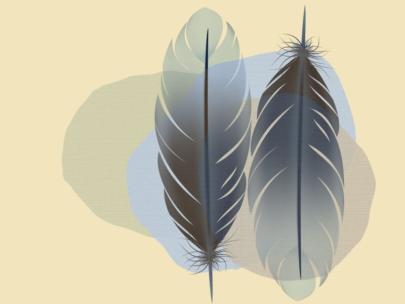 FEATHER MINIMALIST 11