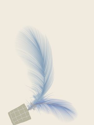 LIGHT FEATHER 01