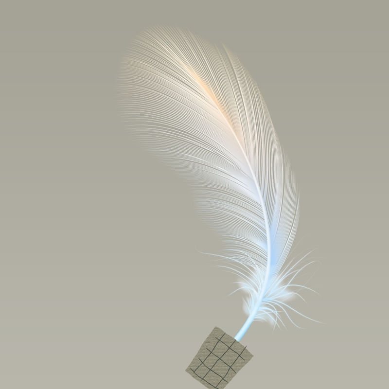 LIGHT FEATHER 04