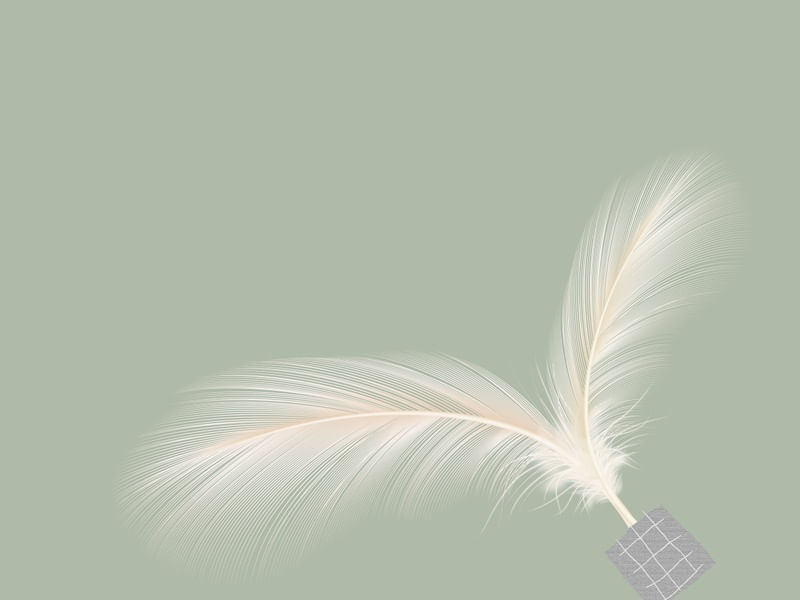 LIGHT FEATHER 06