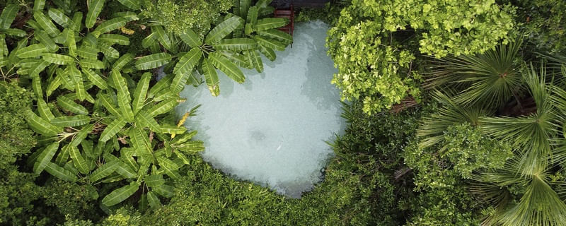 NATURE ART 01