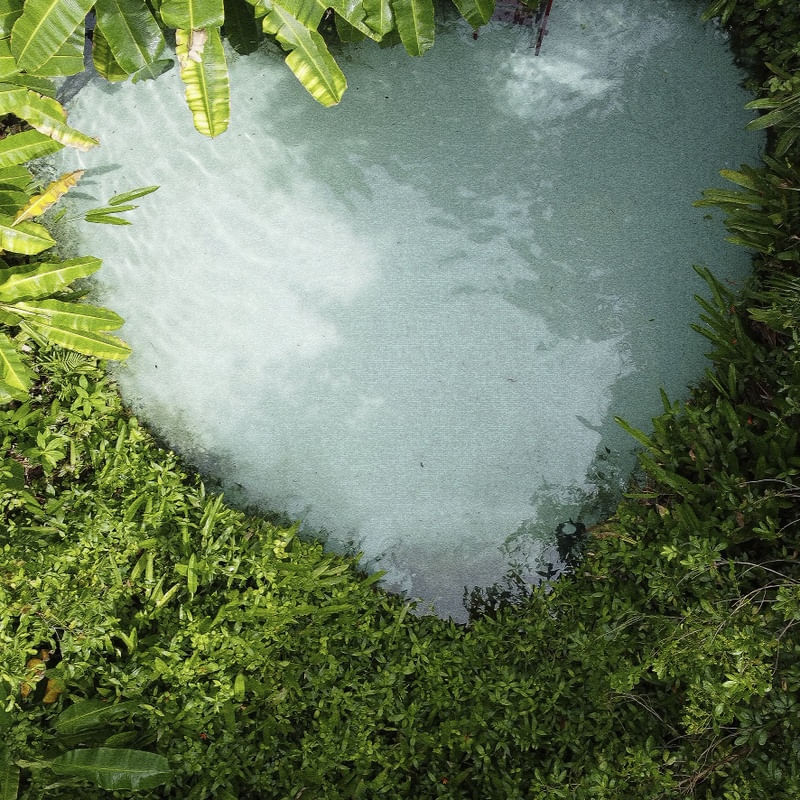 NATURE ART 02