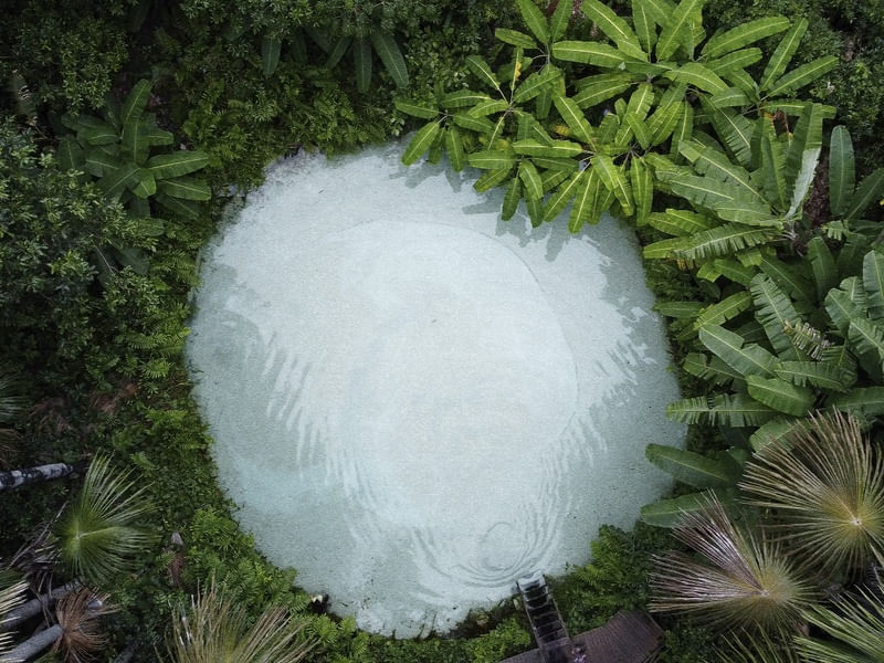 NATURE ART 03