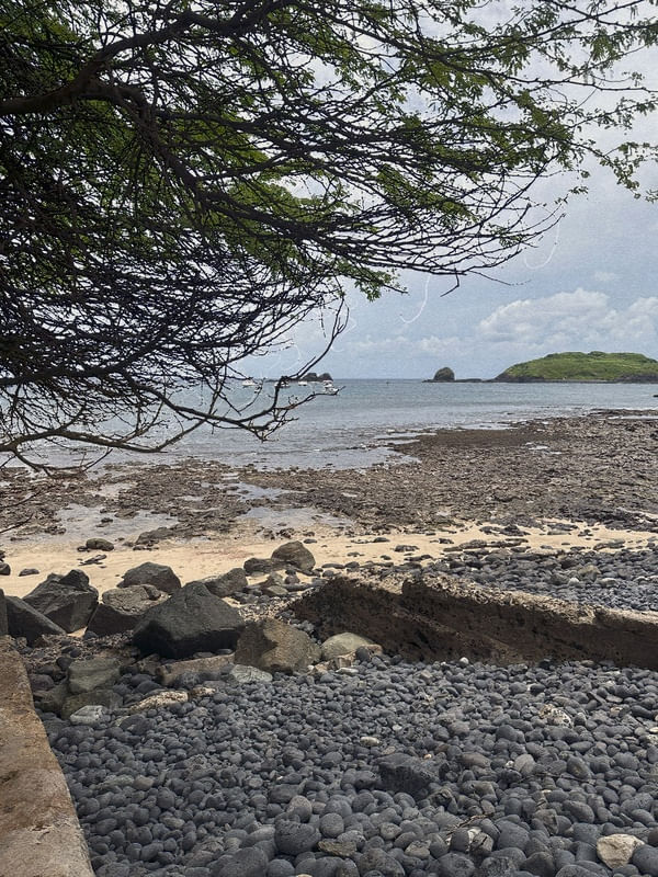 FERNANDO DE NORONHA 02