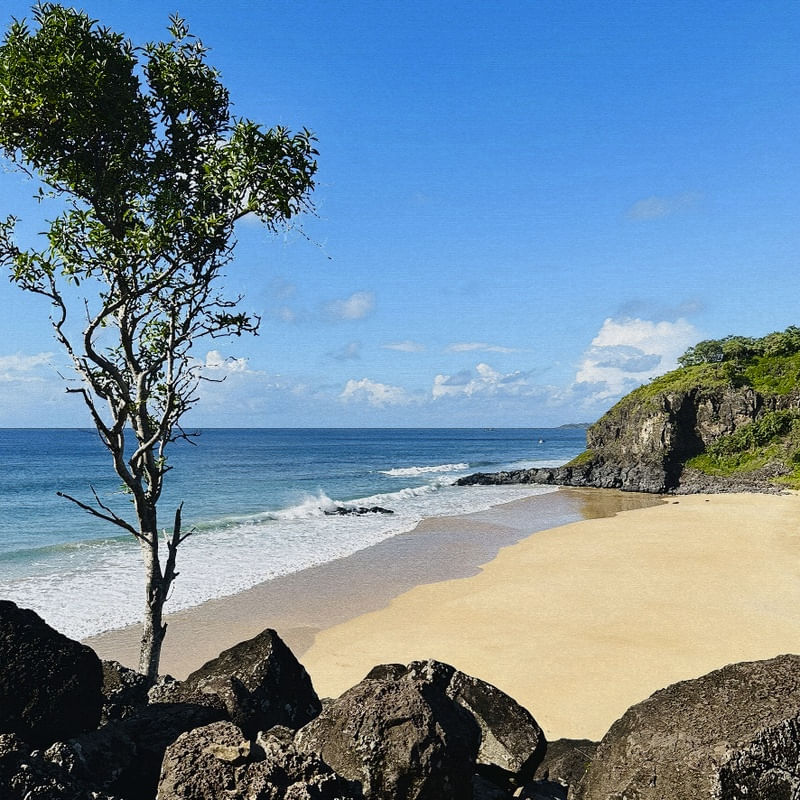 FERNANDO DE NORONHA 08