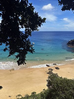 FERNANDO DE NORONHA 11